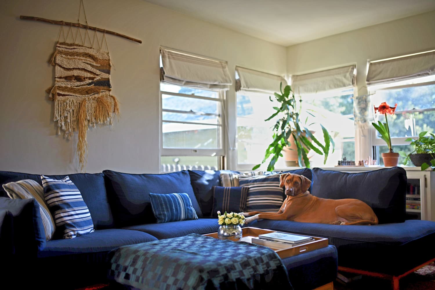 Tour a 725-Square-Foot Sustainable San Diego Rental Apartment ...
